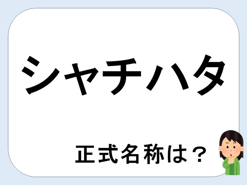 【クイズ】シャチハタって何だか言える？意外に知らない！