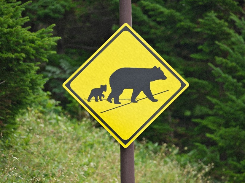 命よりも仕事⁉ クマの気配に怯え、混浴の露天風呂で見知らぬ女性と星空を眺める。63歳で山小屋の歩荷バイト、やってみた