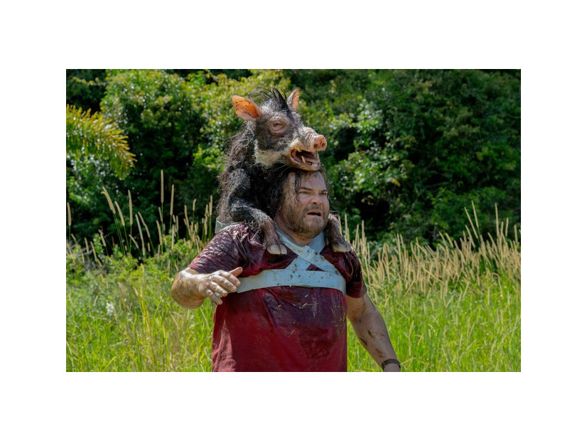 『俺たちのアナコンダ』