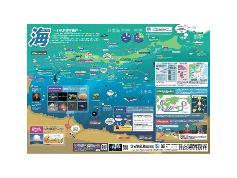 「一家に1枚　海」