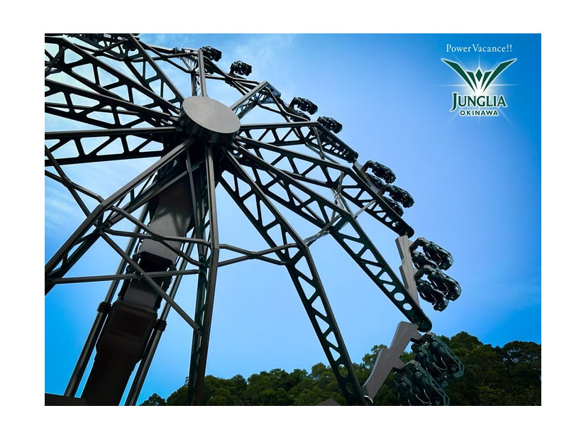 やんばるトルネード／提供画像