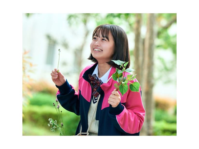 『ザッケン！』2026上村奈帆・モノガタリラボ・プクプク／小学館／『ザッケン！』製作委員会