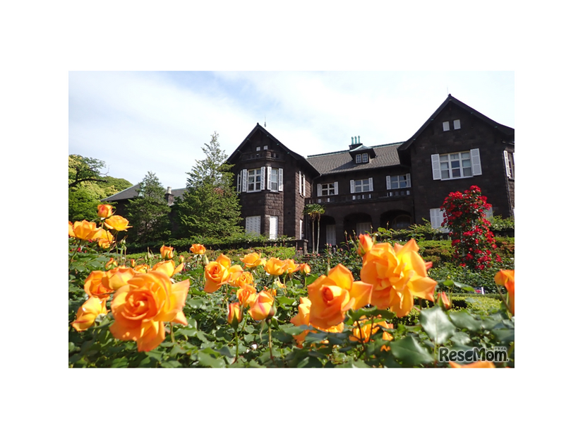 洋館と咲き誇るバラ（前年のようす）