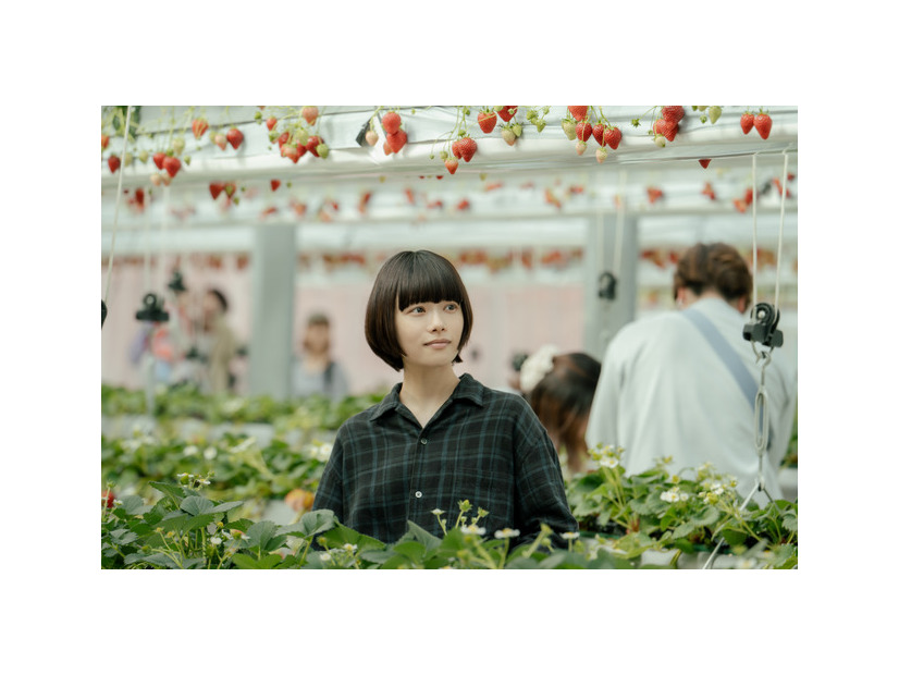 水曜ドラマ「冬のなんかさ、春のなんかね」最終話