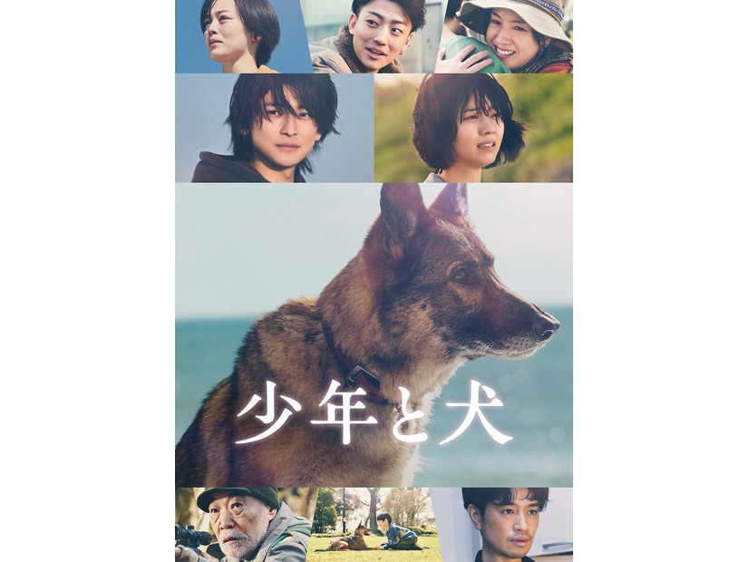 「少年と犬」（C）2025映画「少年と犬」製作委員会