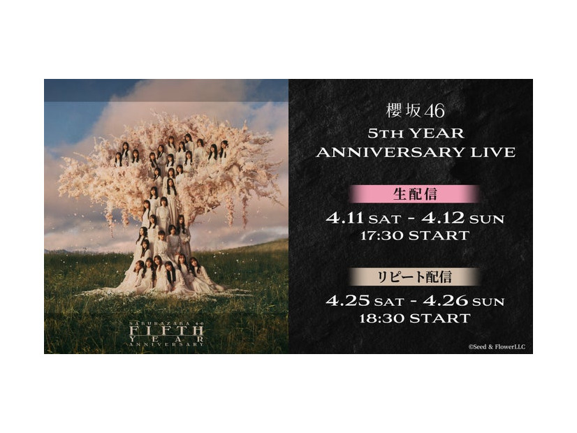 櫻坂46「5th YEAR ANNIVERSARY LIVE」（C）Seed&FlowerLLC