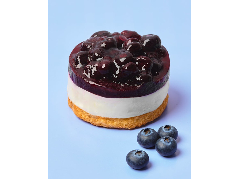 ブルーベリーレアチーズケーキ（提供写真）