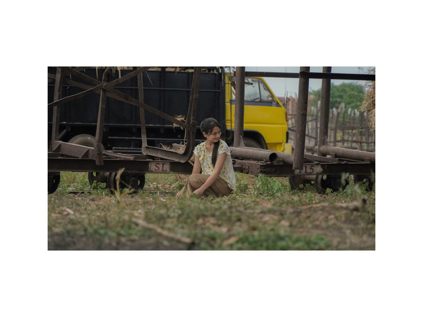 『サトウキビは知っている』© 2025 MD Pictures