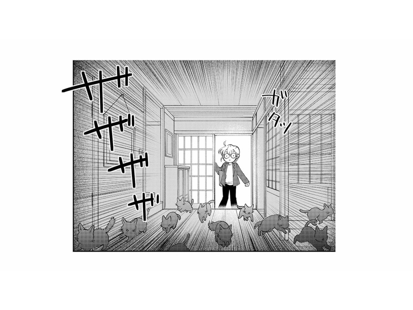 猫の後を追ってたどり着いた先は“猫屋敷”!? 玄関を覗くと現れた人物とは…？【家政婦よんだら猫がきた #15】