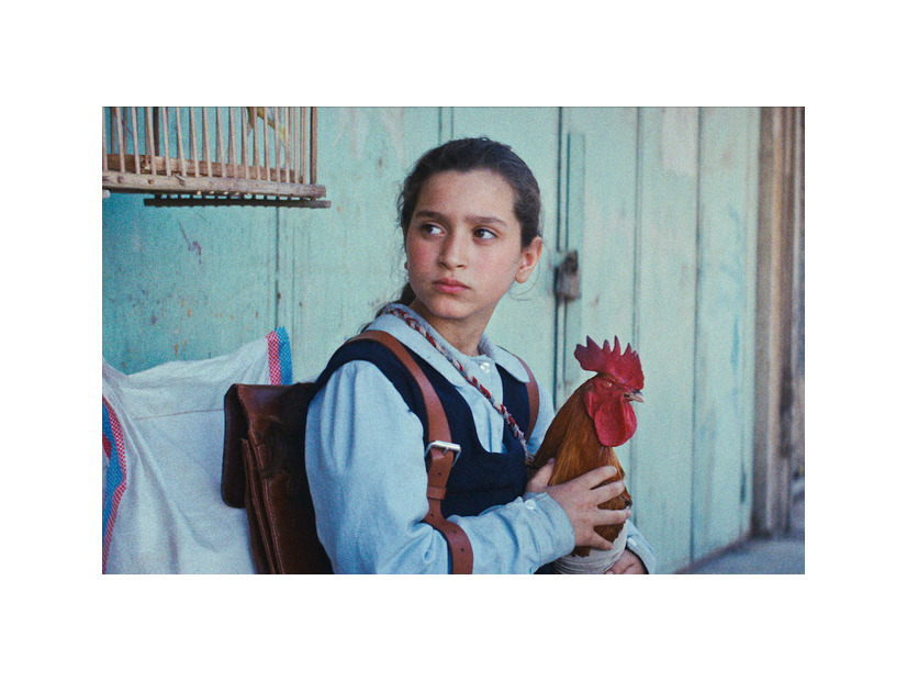 『大統領のケーキ』 2025 TPC Film LLC All Rights Reserved.