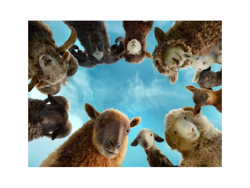 『ひつじ探偵団』