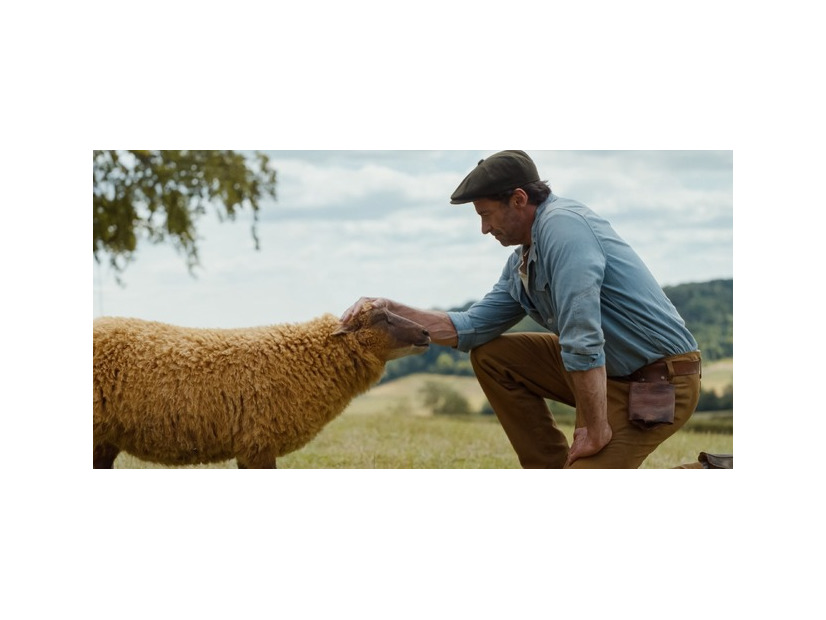 『ひつじ探偵団』