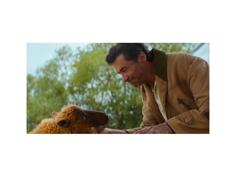 『ひつじ探偵団』