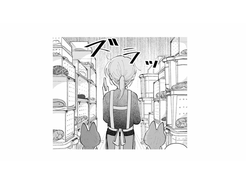 猫たちと家事代行のお宅へ。部屋に入るとまさかの大量の蛇がズラリ…!?【家政婦よんだら猫がきた #19】