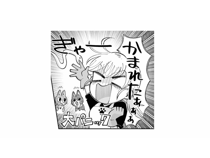 蛇に噛まれて大パニック！逃げられちゃう!? 飼い主のアドバイス通りにしてみると…【家政婦よんだら猫がきた #20】