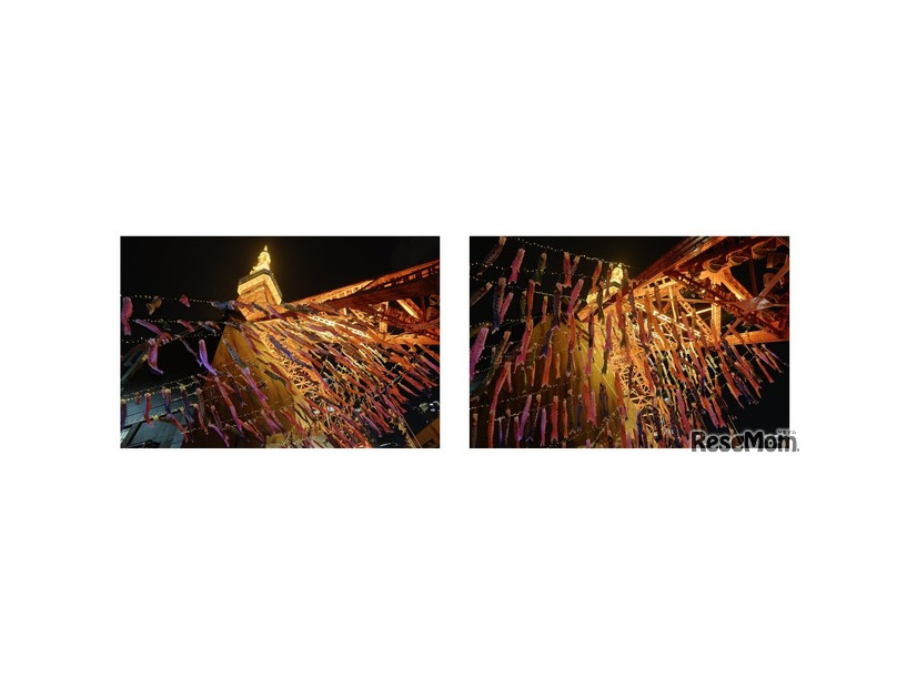 夜には鯉のぼりもライトアップ