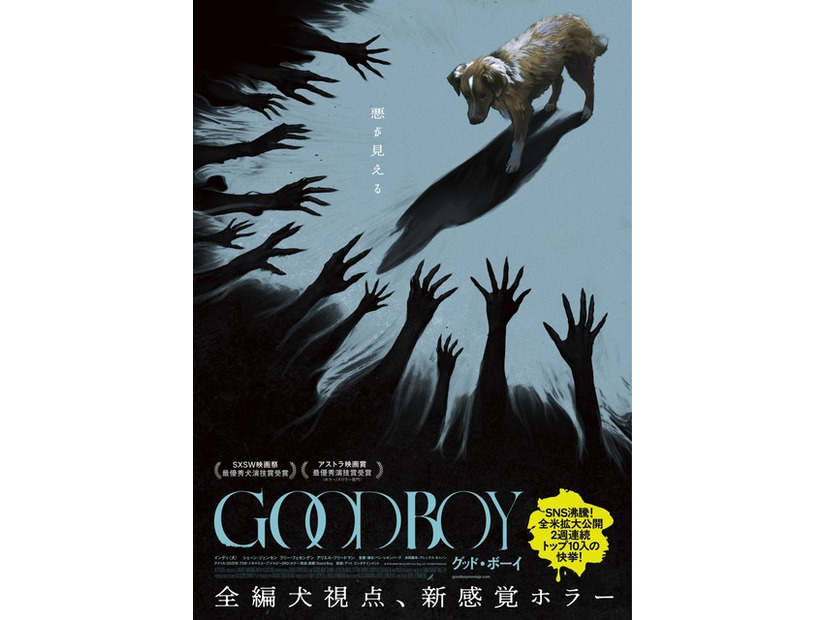 『GOOD BOY／グッド・ボーイ』© 2025 Whats Wrong With Your Dog, LLC. All Rights Reserved.