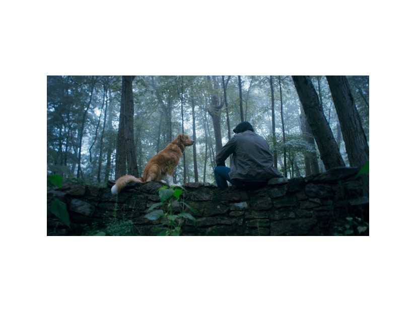 『GOOD BOY／グッド・ボーイ』© 2025 Whats Wrong With Your Dog, LLC. All Rights Reserved.