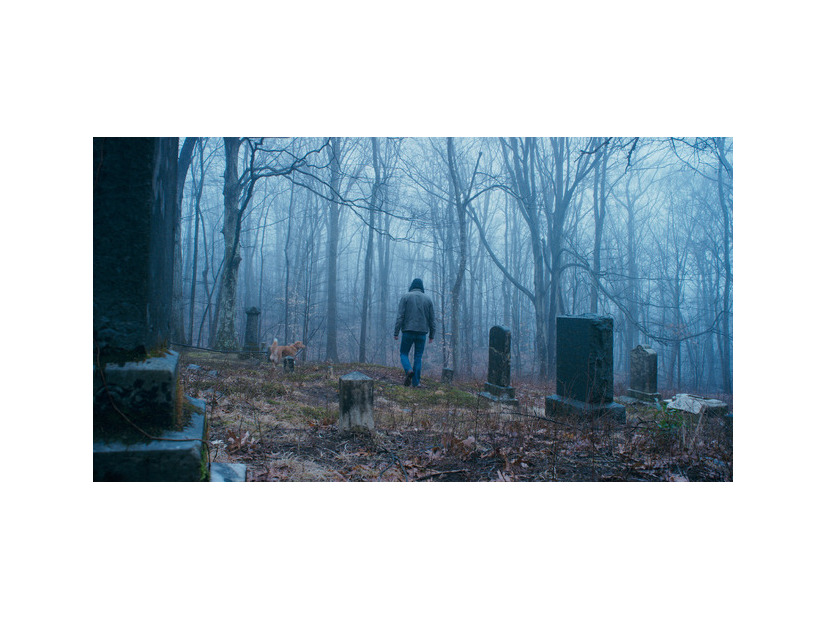 『GOOD BOY／グッド・ボーイ』© 2025 Whats Wrong With Your Dog, LLC. All Rights Reserved.