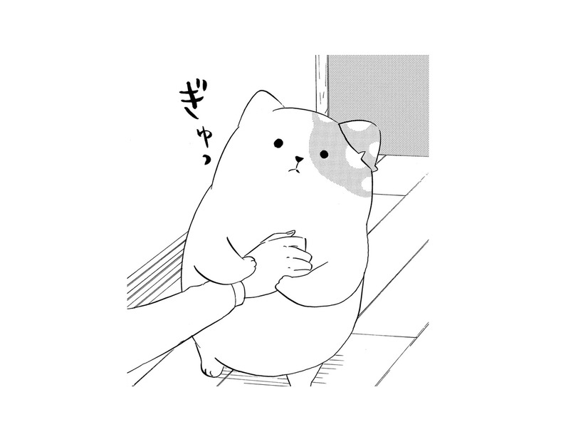 「好きだから」気持ちを伝えるきのこいぬ…だけど、その本心はうまく伝わらなくて【きのこいぬ #９】