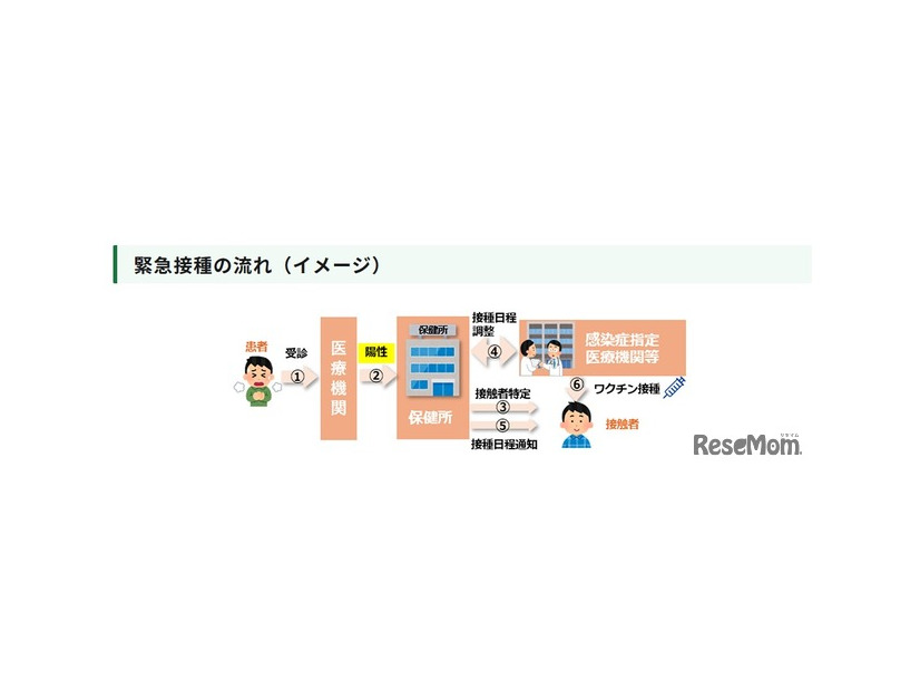 緊急接種の流れ（イメージ）