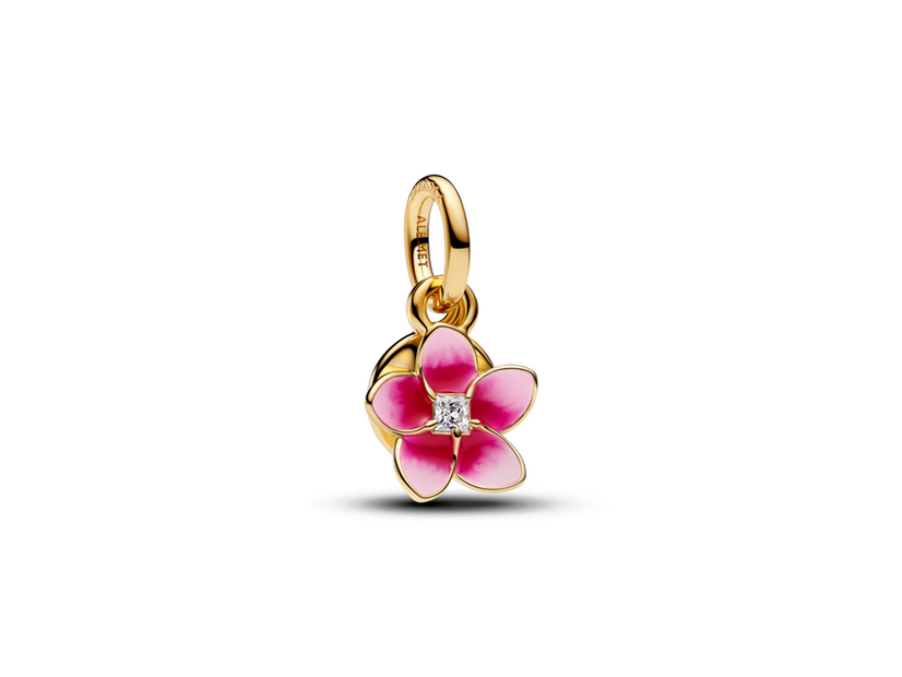 Disney x Pandora (ディズニー x パンドラ)