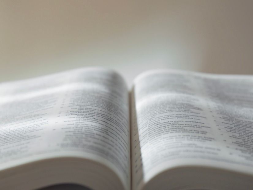 英単語や文法は知っているハズなのに…長文になると読めない！書けない‼生成AIで「英語力」が伸びるってホント？【使い方実例つき】