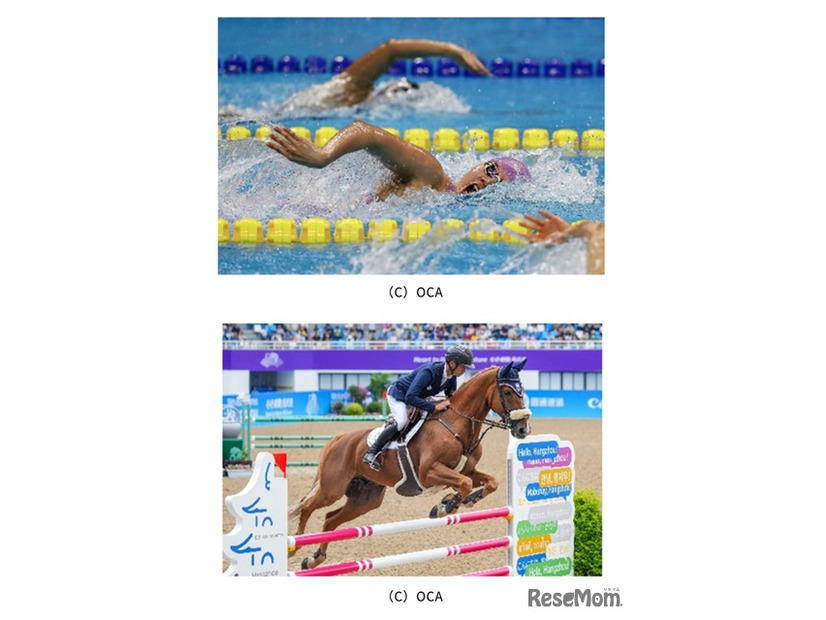 都内で開催される水泳と馬術 (c) OCA