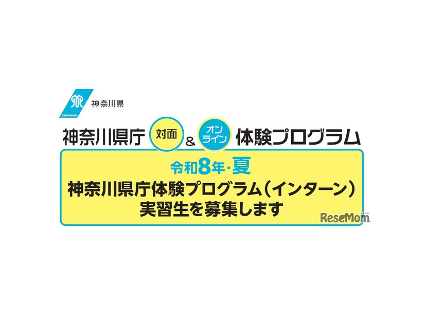 令和8年・夏 神奈川県庁体験プログラム（インターン）