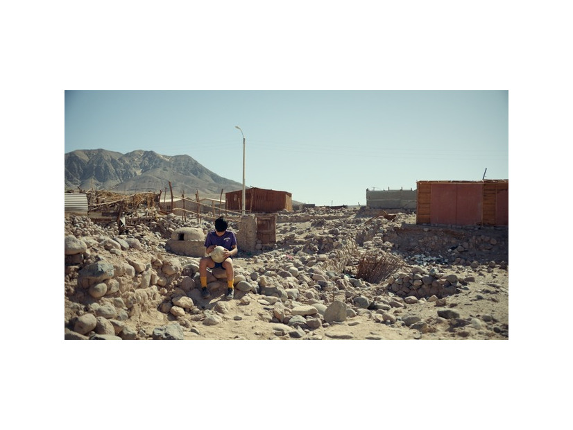 『砂漠の星』（Desert Lights、2021年、18分56秒）