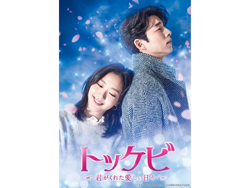 「トッケビ～君がくれた愛しい日々～」