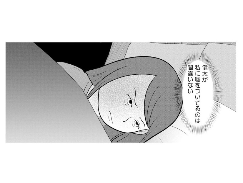 夫の嘘を確信する妻。しかし決定的な証拠が見つからなくて…【あなたの嘘は底にある #８】