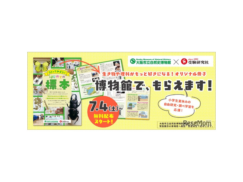 夏休みの自由研究・調べ学習を応援「つくってみよう！はじめての標本」無料冊子を配布