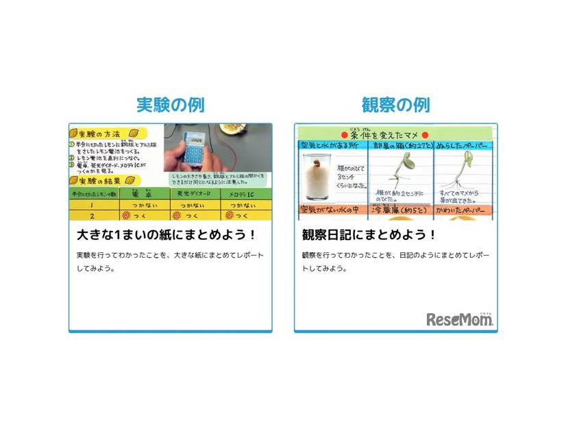 まとめ方のコツ（実験の例、観察の例）