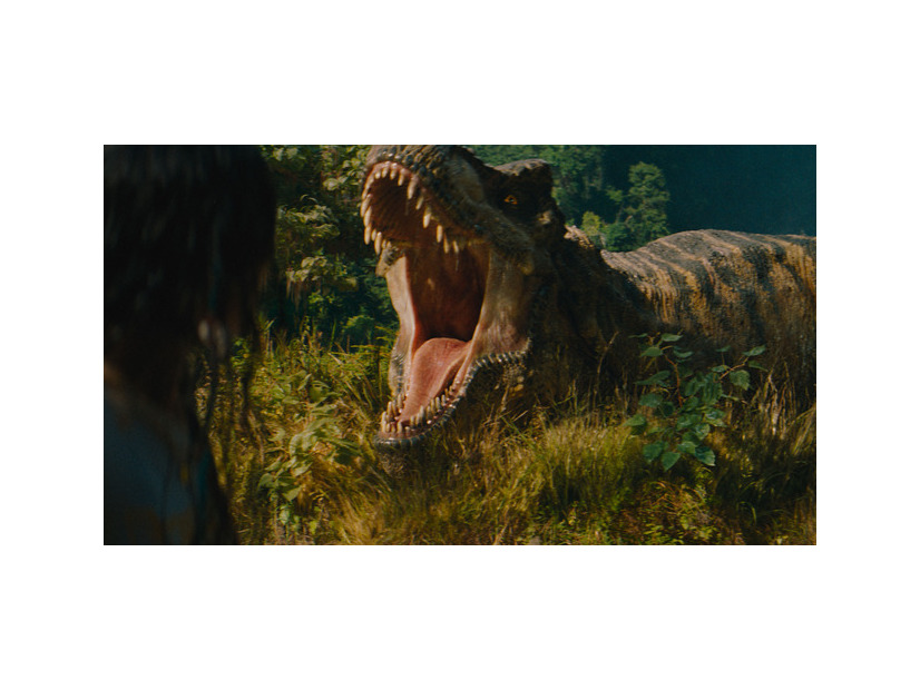 『ジュラシック・ワールド／復活の大地』© 2025 Universal Studios and Amblin Entertainment, Inc. All Rights Reserved.