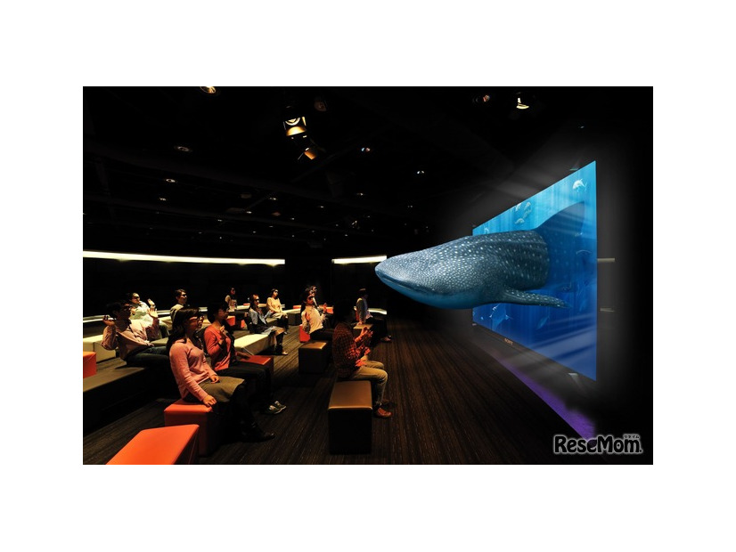 3D Okinawa Churaumi Aquarium