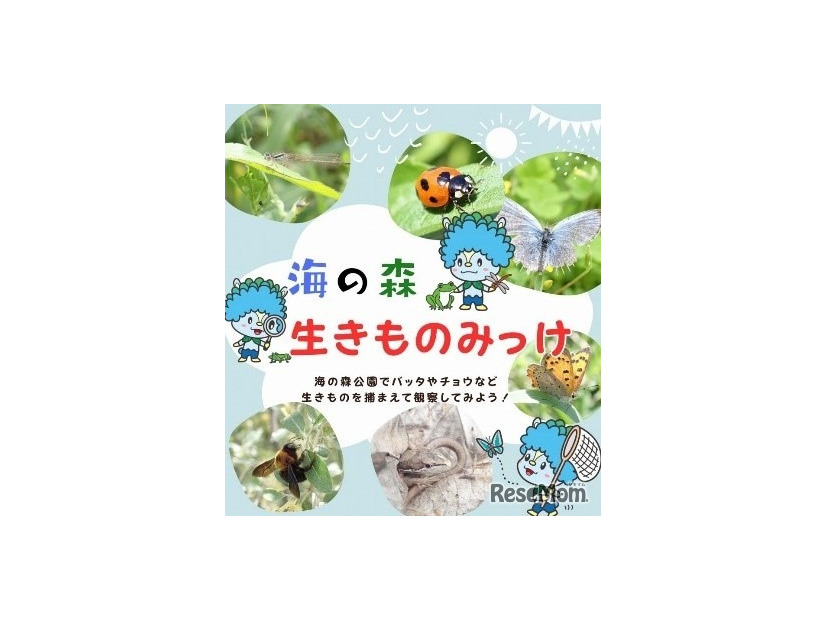 生きもの観察（海の森公園）