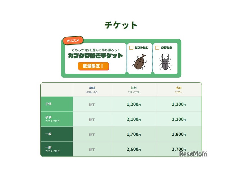 チケット