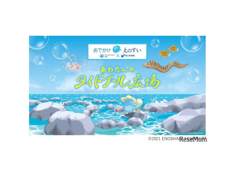 出張水族館「おでかけえのすい」(c)ENOSHIMA AQUARIUM