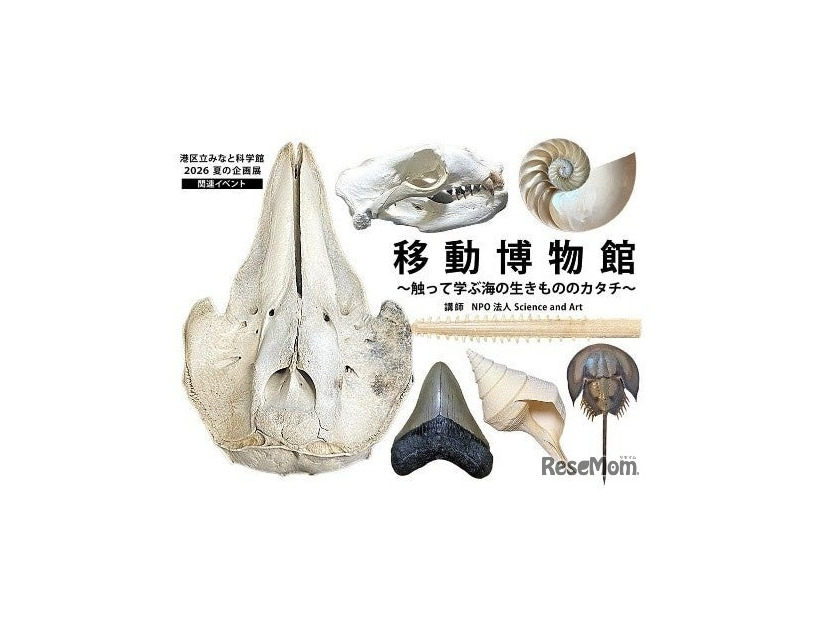 特別体験展示 移動博物館～さわって学ぶ海の生きもののカタチ