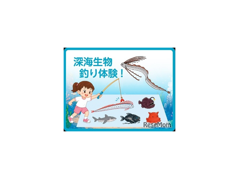 深海生物釣り体験！