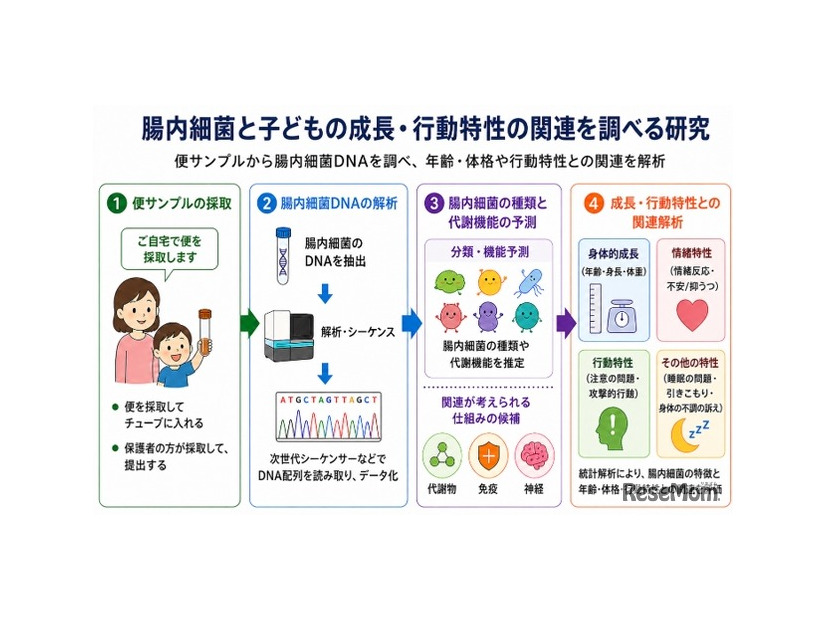 腸内細菌と子供の成長・行動特性の関連を調べる研究