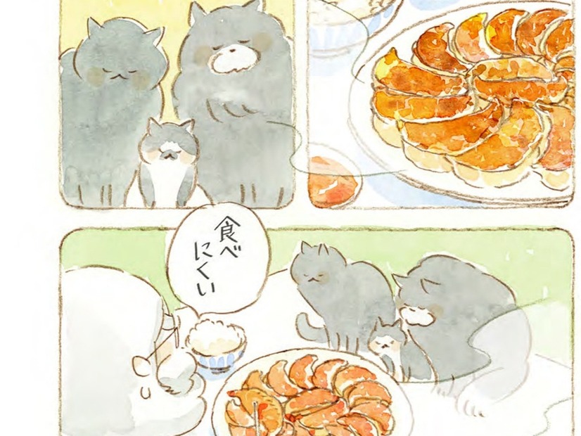 うまい！「ニンニク3倍マシマシ餃子」は、ネコも大好物？【深夜３時のくろねこ喫茶 #６】