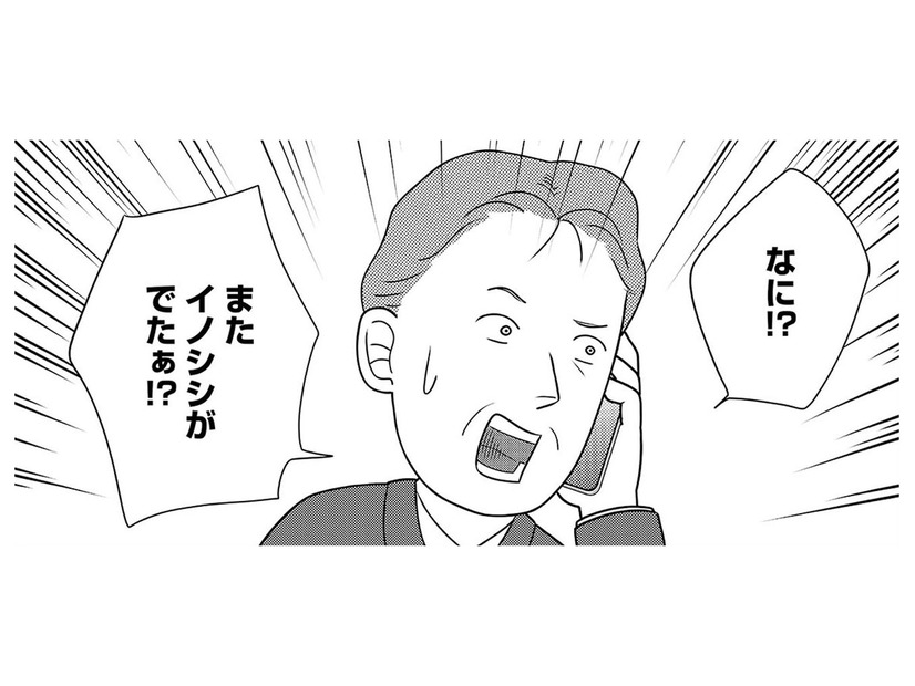 「襲う」と「食べる」は別問題！草食動物が人間を死に至らしめる「予期せぬ引き金」【いまどきの死体　法医学者が見た幸せな死に方 #５】