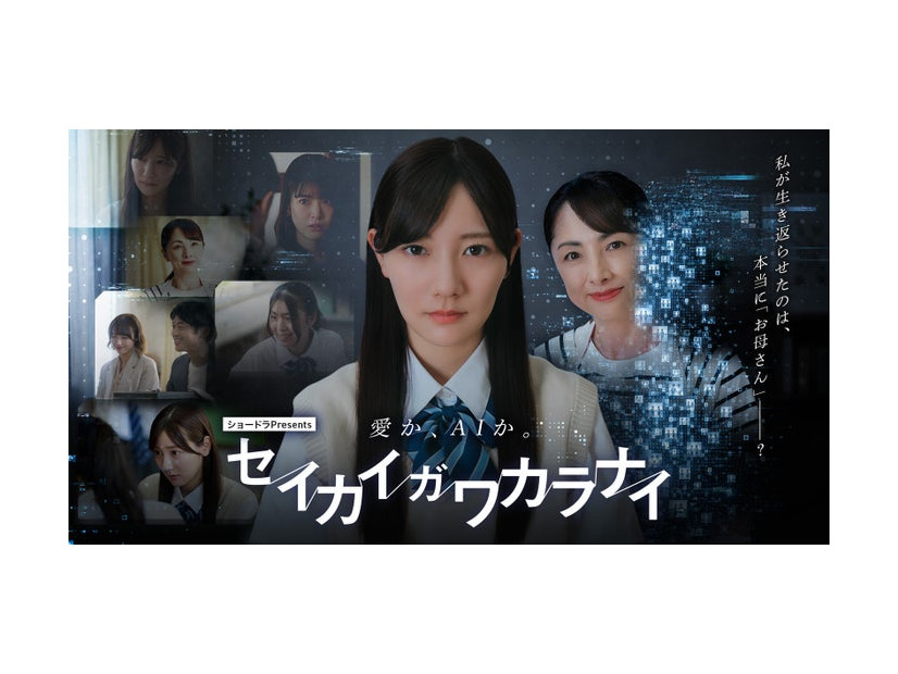 「ショードラpresents セイカイガワカラナイ」キービジュアル（C）ABC