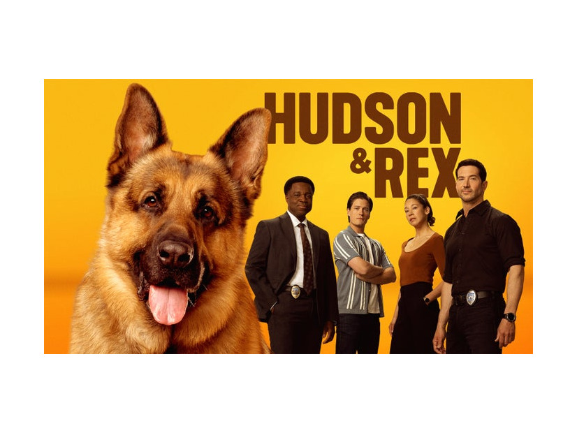 「ハドソン＆レックス～セントジョンズ警察シェパード犬刑事」（C）2025 Shaftesbury Rex VIII Inc. Pope Rex Season 8 Inc.