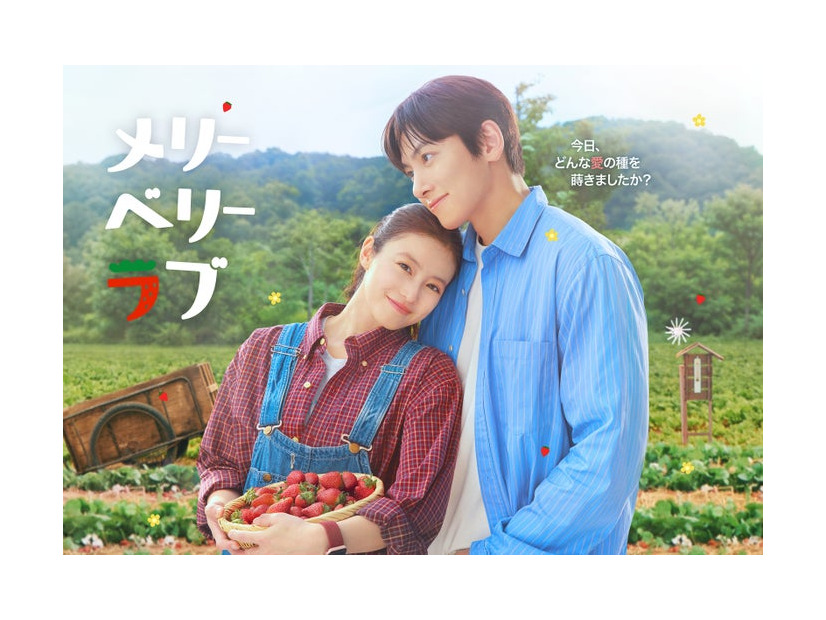 「メリーベリーラブ」キービジュアル（C）日本テレビ