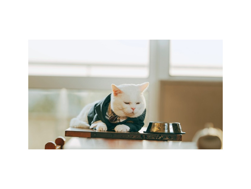 『高校生家族』©仲間りょう／集英社 ©2027 映画「高校生家族」製作委員会