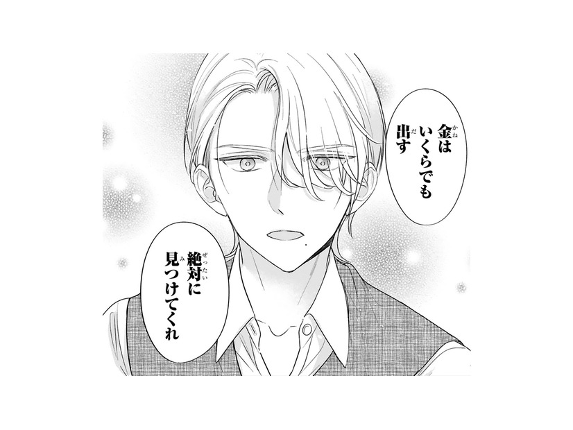 「金はいくらでも出す」手がかりの少ない女性を何としても見つけたい御曹司【嘘婚ロマン #13】