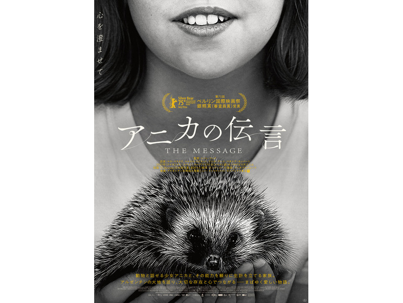 『アニカの伝言』